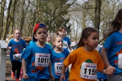 2018_500m Bambinilauf 014