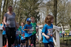 2018_500m Bambinilauf 026